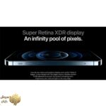 گوشی موبایل اپل مدل iPhone 12 Pro Max A2412 دو سیم کارت ظرفیت 256 گیگابایت